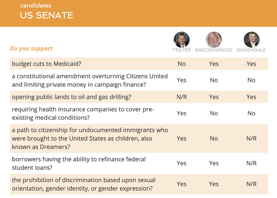 American Voter Guide — plate