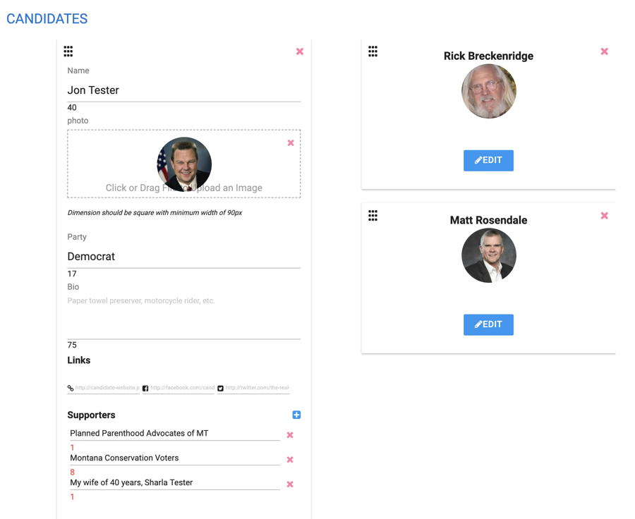 American Voter Guide — plate